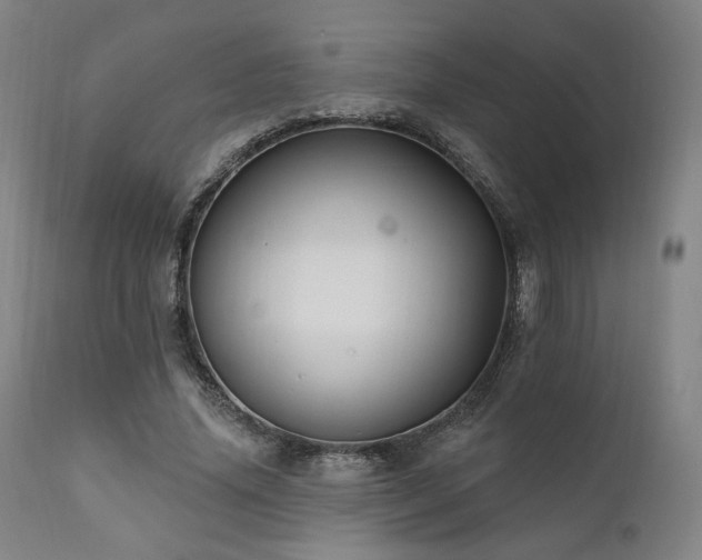 X0000111800636200907231211