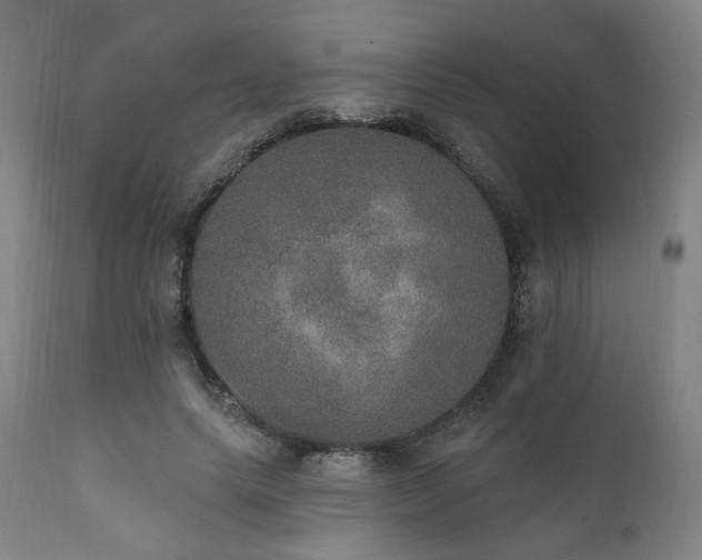 X0000111800639200907231211