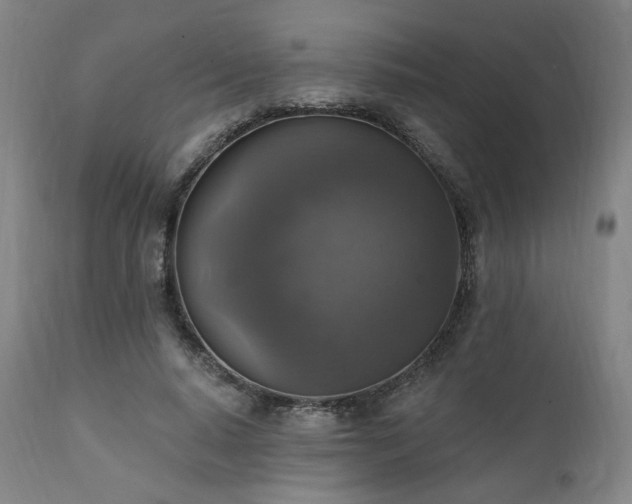 X0000111800640200907231211