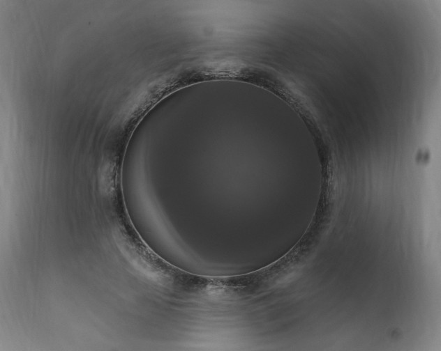 X0000111800641200907231211