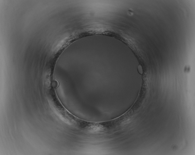 X0000111800642200907231211