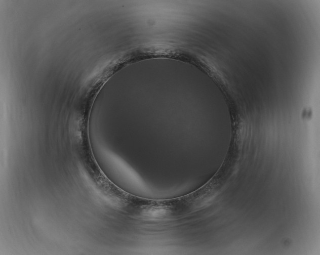 X0000111800643200907231211