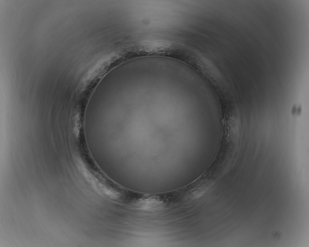 X0000111800644200907231211