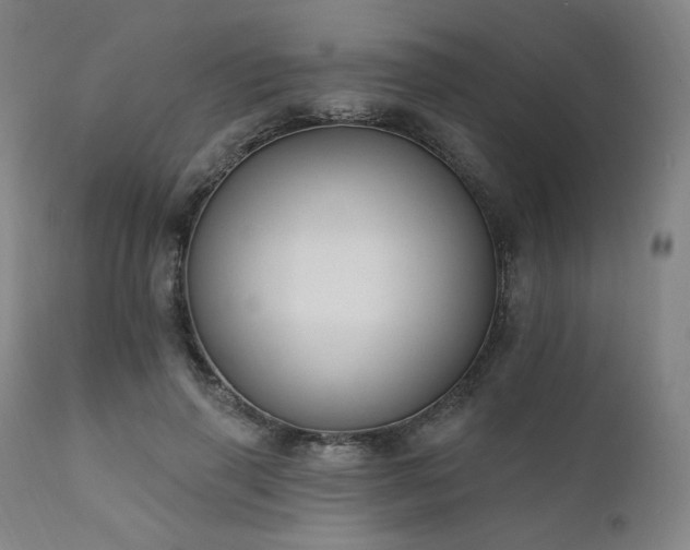 X0000111800645200907231211