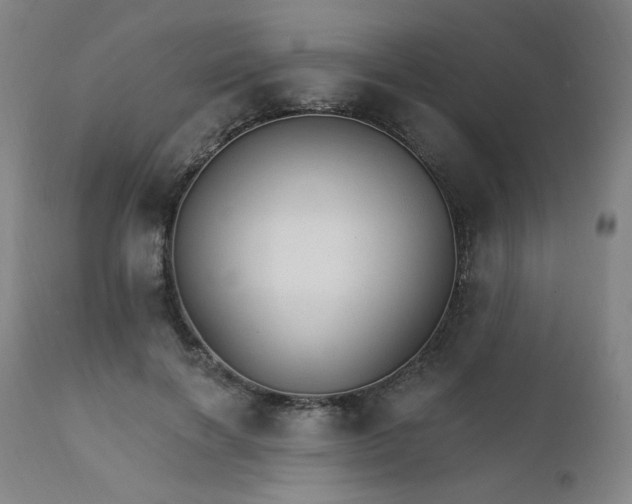 X0000111800646200907231211
