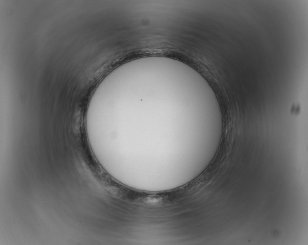 X0000111800647200907231211