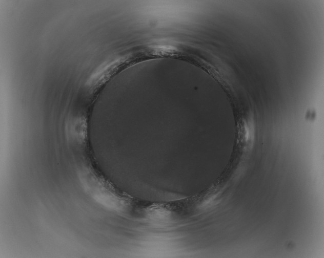 X0000111800648200907231211