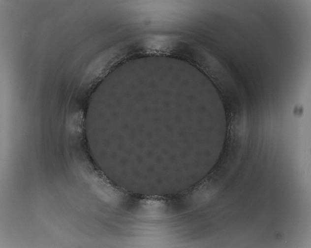 X0000111800649200907231211