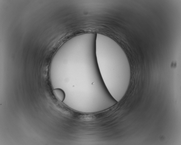 X0000111800652200907231211