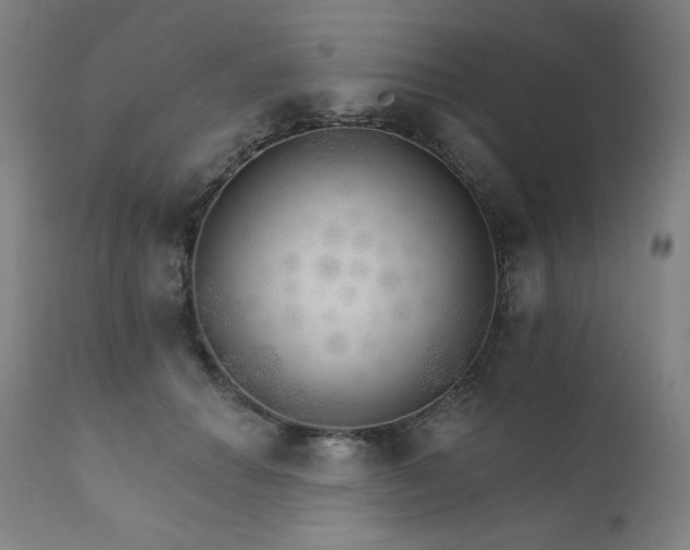 X0000111800654200907231211
