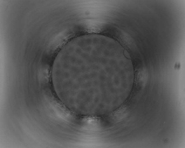 X0000111800655200907231211