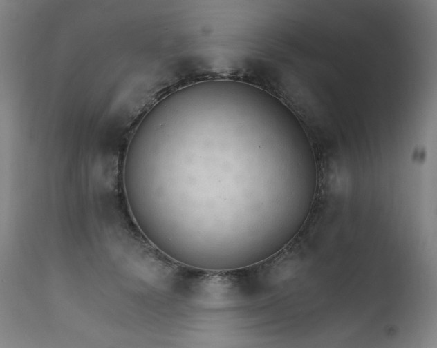 X0000111800656200907231211