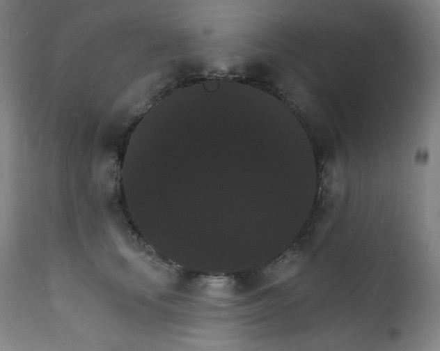 X0000111800659200907231211