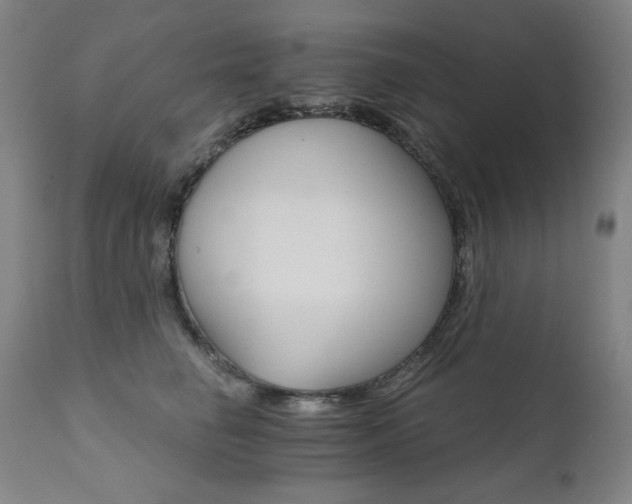 X0000111800662200907231211