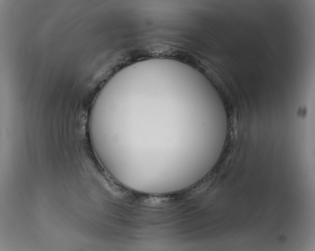 X0000111800664200907231211