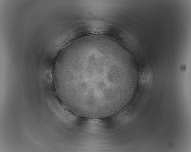 X0000111800666200907231211