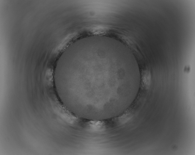 X0000111800667200907231211