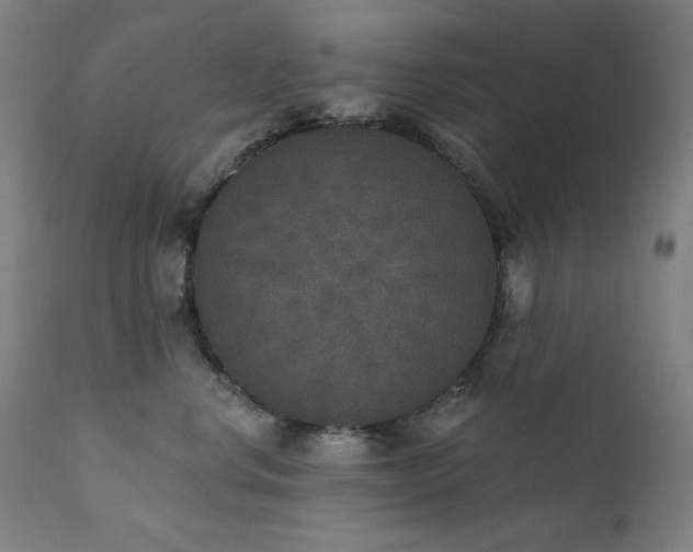 X0000111800668200907231211