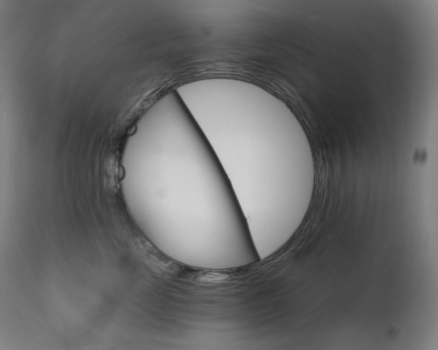 X0000111800669200907231211