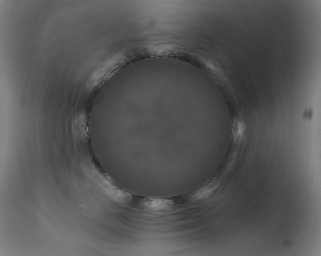 X0000111800670200907231211