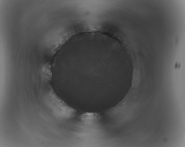X0000111800672200907231211