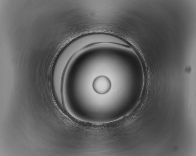 X0000111800673200907231211
