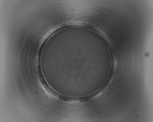 X0000111800674200907231211