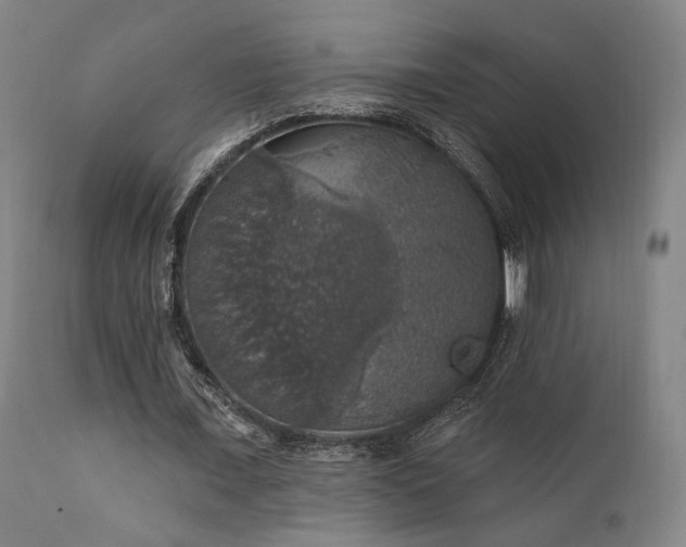 X0000111800675200907231211