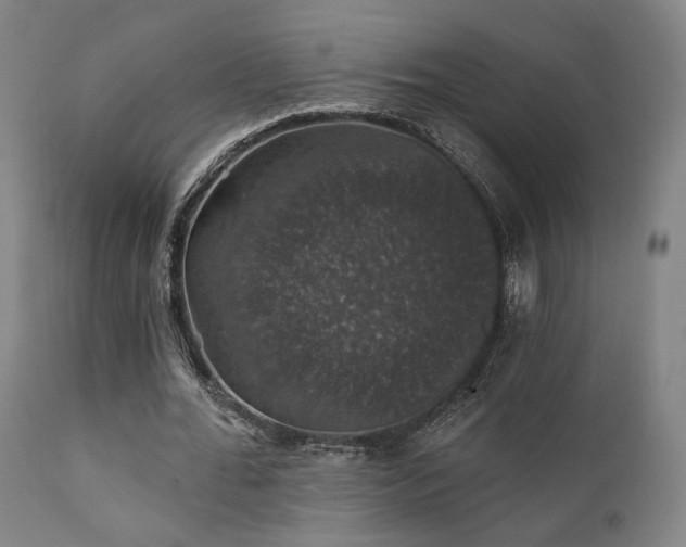 X0000111800676200907231211