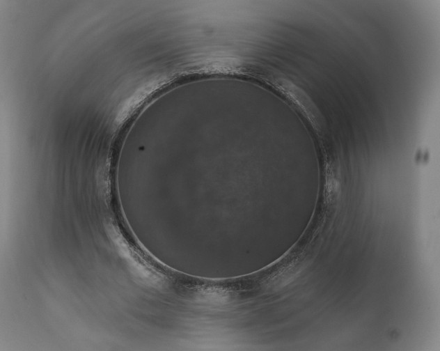 X0000111800677200907231211