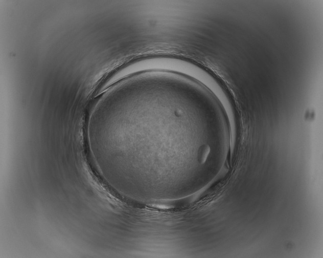 X0000111800681200907231210