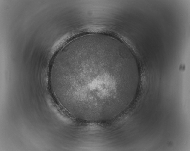 X0000111800682200907231210