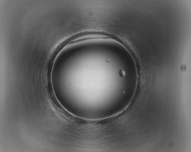 X0000111800684200907231210