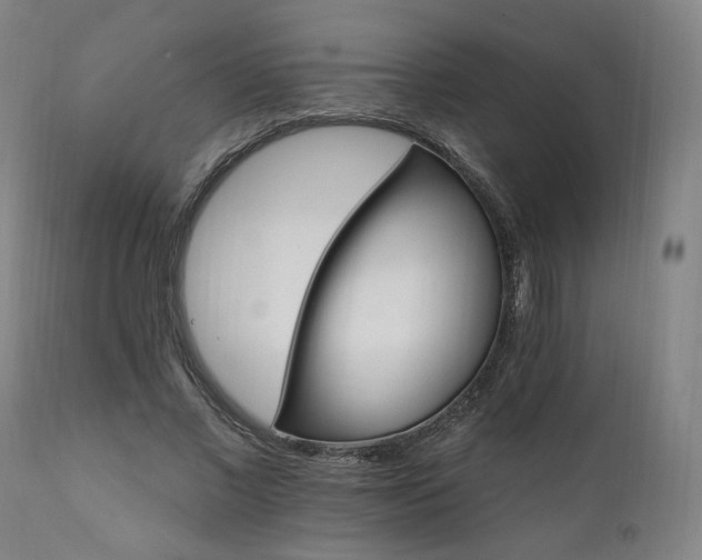 X0000111800685200907231210