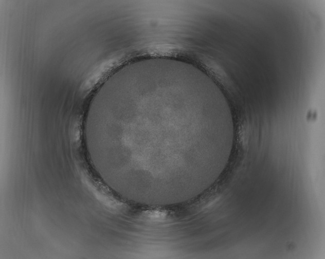 X0000111800687200907231210