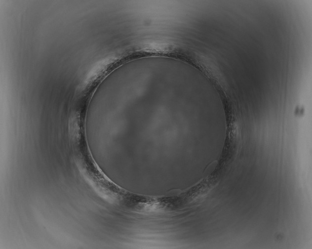 X0000111800688200907231210