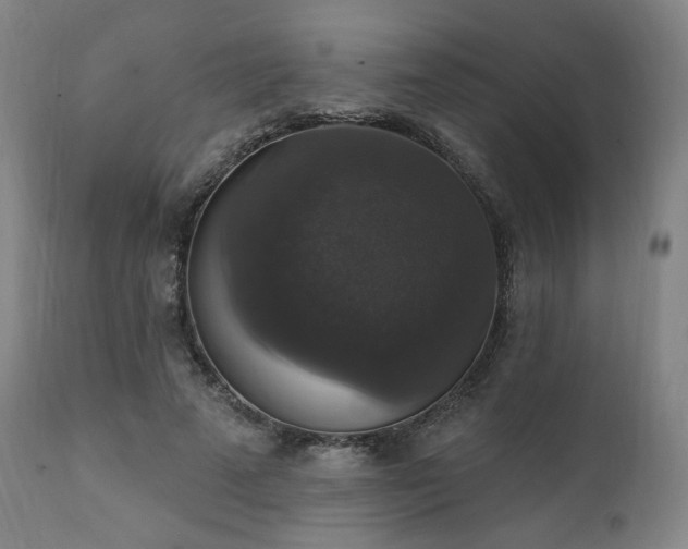 X0000111800689200907231210
