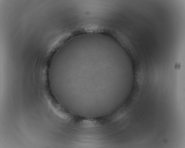 X0000111800690200907231210