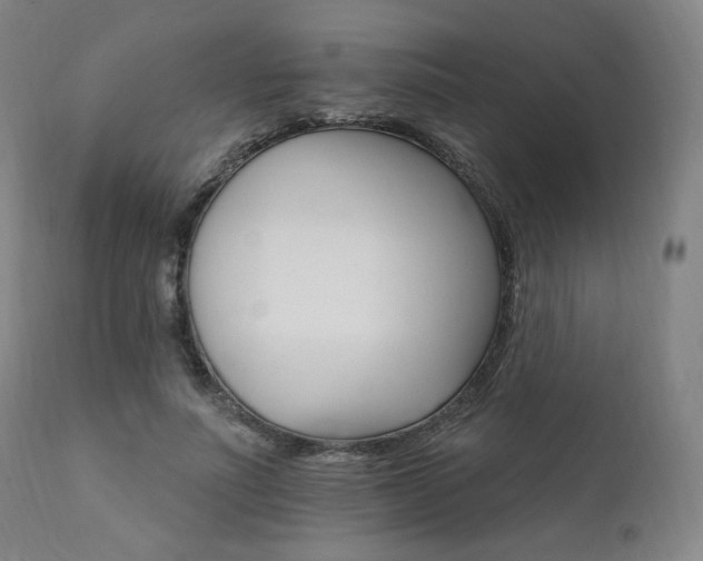 X0000111800691200907231210