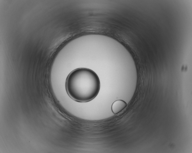 X0000111800692200907231210