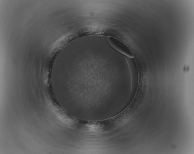 X0000111800693200907231210