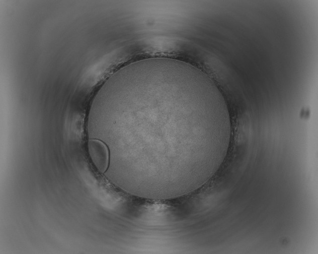 X0000111800695200907231210