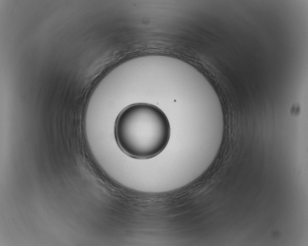 X0000111800696200907231210
