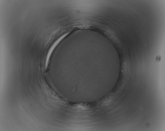 X0000111800697200907231210