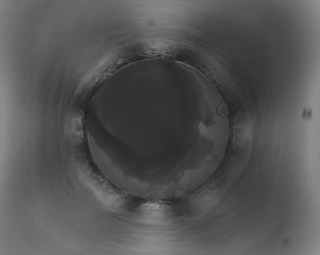 X0000111800699200907231210
