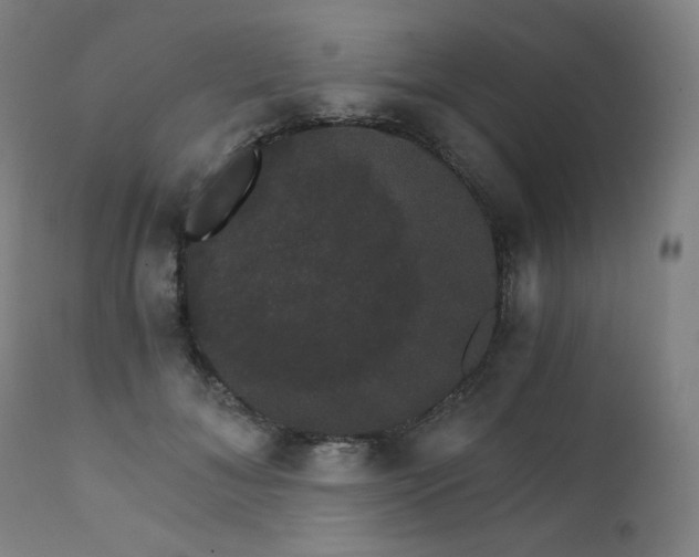 X0000111800700200907231210