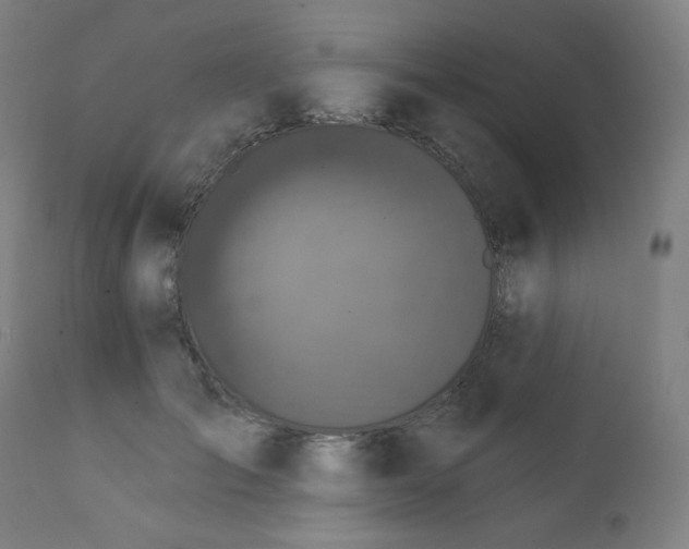 X0000111800701200907231210