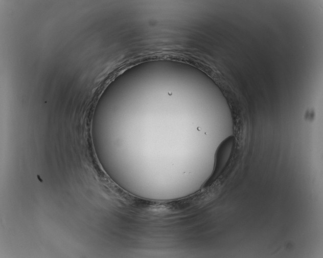 X0000111800704200907231210