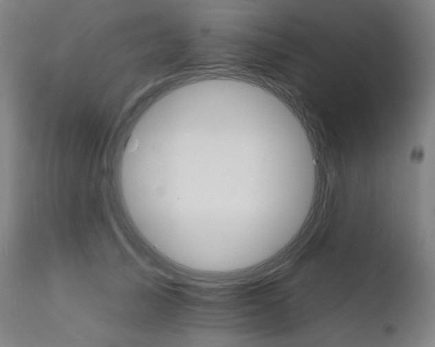 X0000111800705200907231210