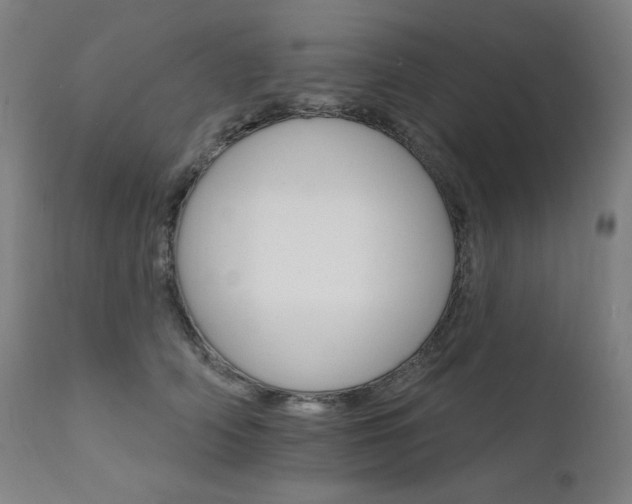 X0000111800706200907231210